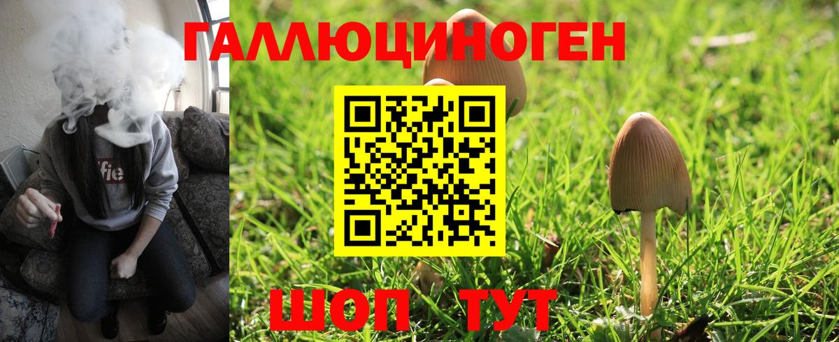 Псилоцибиновые грибы ЛСД Бердск