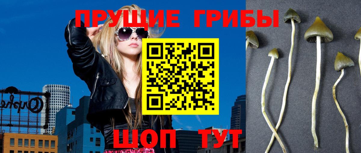 Бердск  Галлюциногенные грибы прущие грибы  Вход с VPN  Галлюциногенные грибы MAGIC MUSHROOMS 