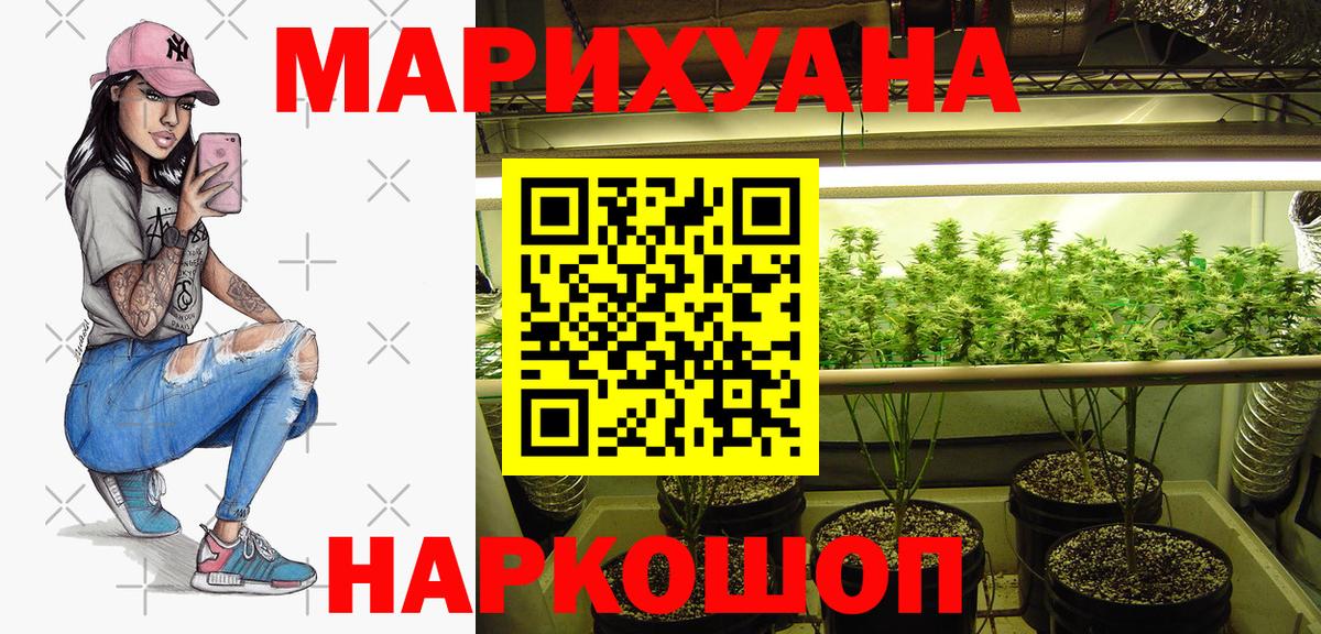 Конопля ГИДРОПОН  Канабис OG Kush  МАРИХУАНА марихуана  Бердск  Каннабис Amnesia  Вход с VPN 